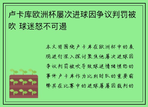 卢卡库欧洲杯屡次进球因争议判罚被吹 球迷怒不可遏